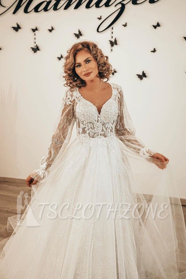 Boho Long puffy Sleeves V-Neck Tulle Lace A-line Wedding Dress