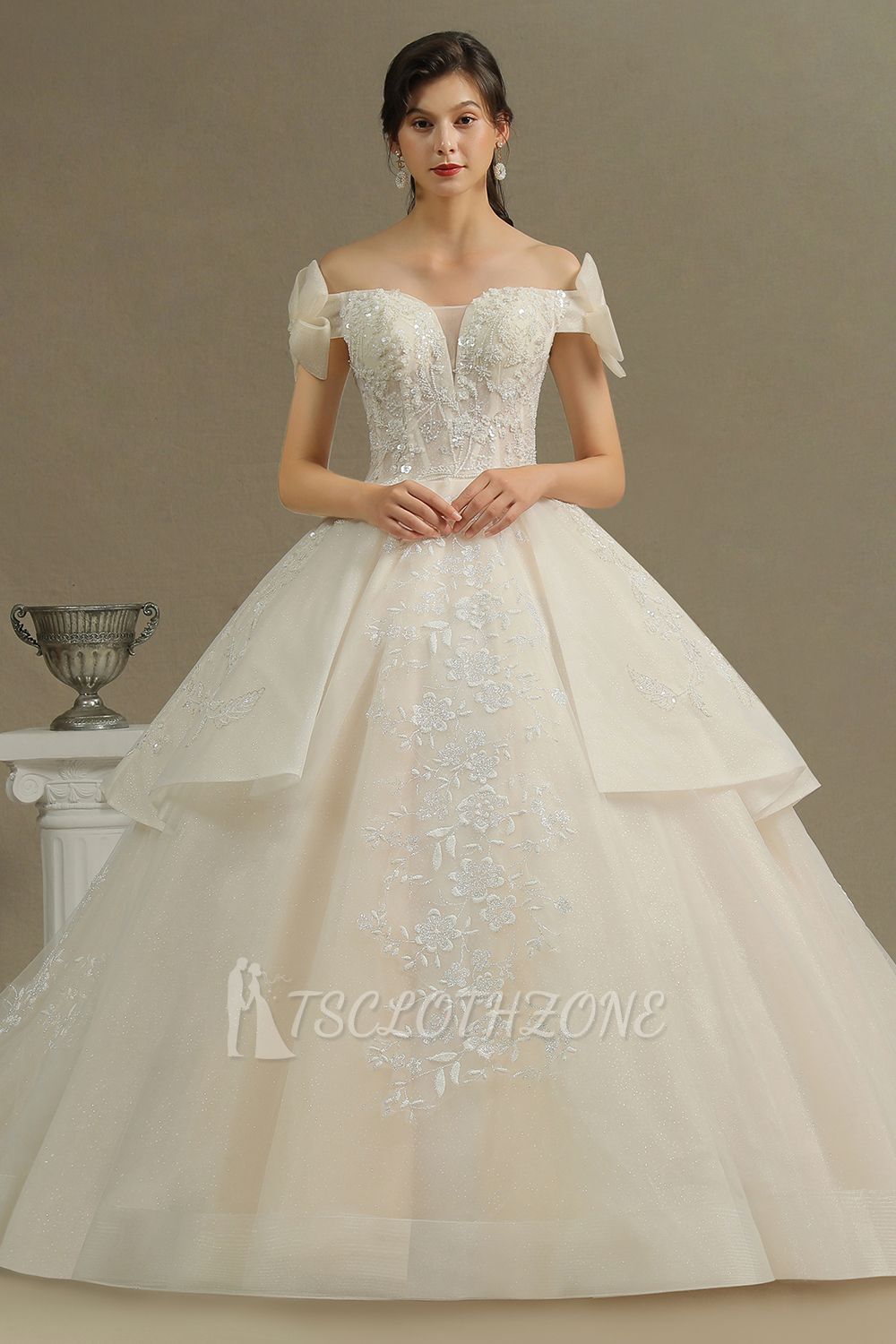 Elegant Off-the-Shoulder Tulle Lace Ball Gown Floor Length Graden Bridal Gown
