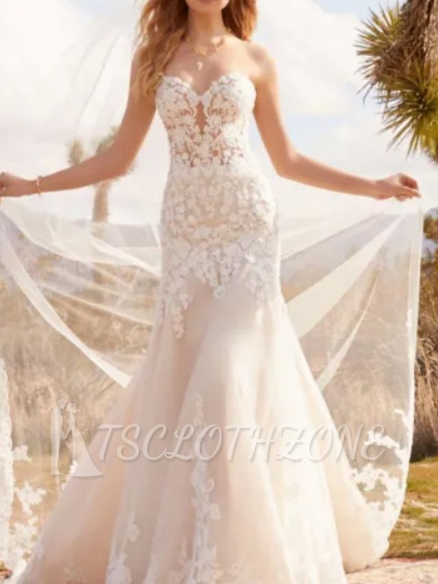 Formal A-Line Wedding Dress Sweetheart Tulle Strapless Plus Size Bridal Gowns with Court Train