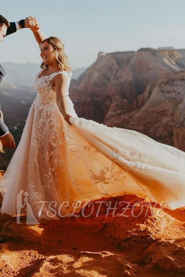 Stylish V-Neck Lace Appliques Aline Tulle Wedding Gown