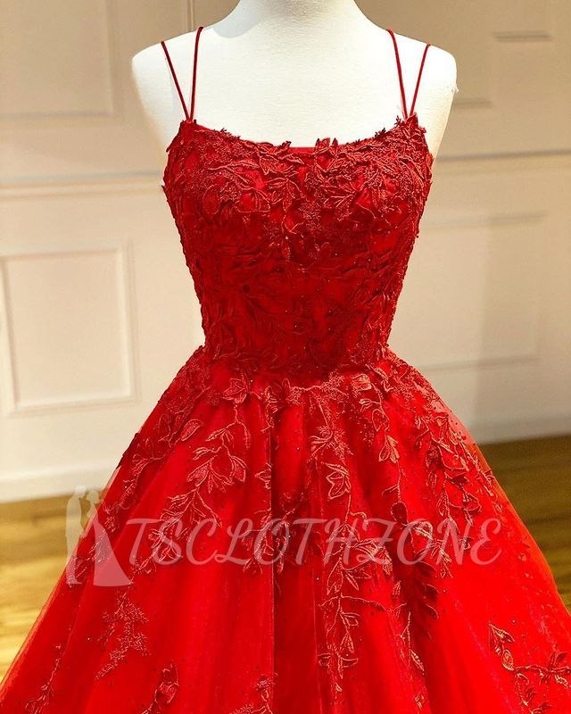 Spaghetti Straps Floral Lace Aline Evening Gown Sleeveless Prom Dress