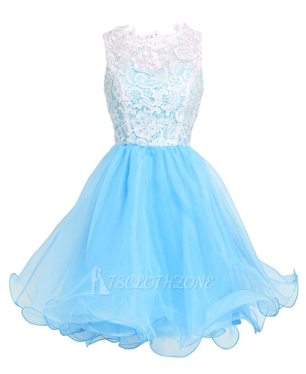 Elegant A-Line Short Lace Organza Summer Homecoming Dress