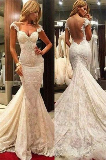 Fit and Flare Lace Wedding Dresses | Sheer Tulle Back Bridal Gowns with Chapel Train_2