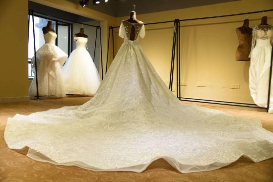 Gorgeous Short Sleeve Lace Tulle Princess Ivory Wedding Dress Online_3