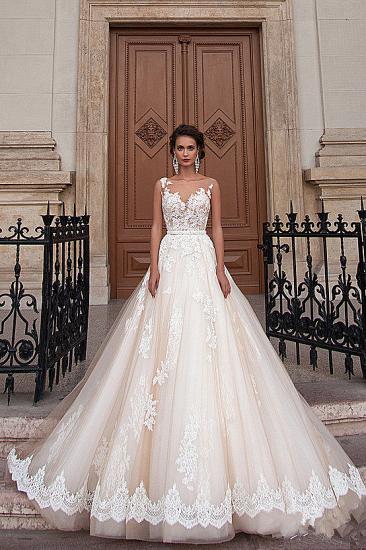2022 A-line Light Champagne Wedding Dresses Lace Sheer Tulle Stunning Bridal Gowns_4