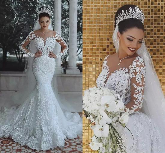 Glamorous Long Sleeve Lace Wedding Dress Mermaid Designer Bridal Gowns Online_4