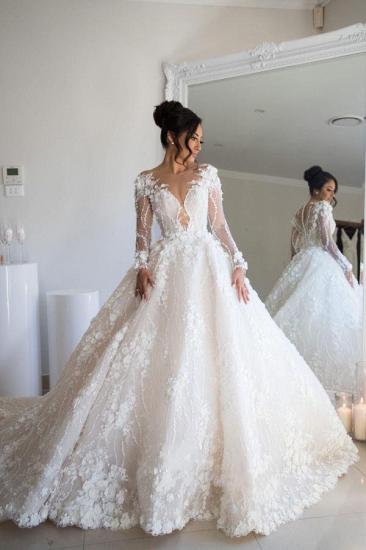 Gorgeous Long Sleeve Soft Floral Lace Bridal Dress V Neck Wedding Dress_1