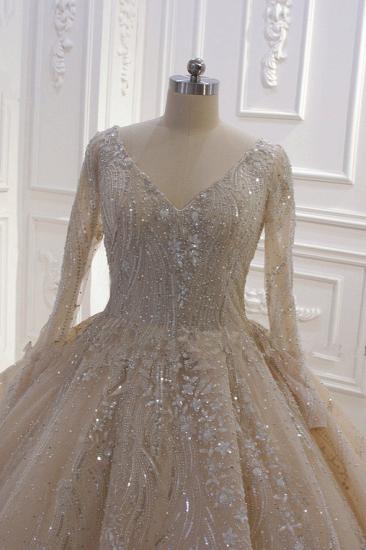 Sparkle Lace Long sleeves Champange Luxury corset Wedding Dress_3