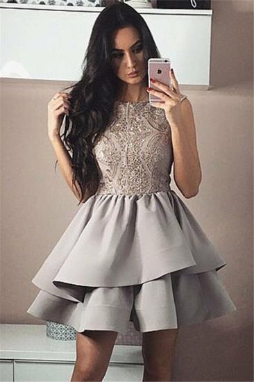 Silver A-Line Sleeveless Homecoming Dresses | Short Appliques Hoco Dresses 2022_1