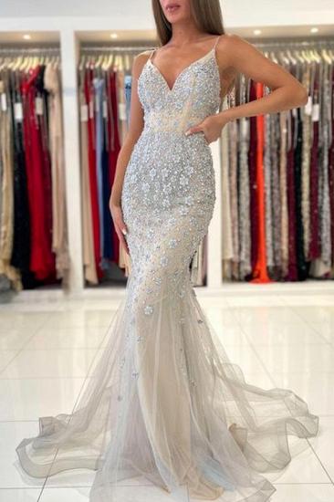 Elegant Evening Dress Long V-Neck Lace Ball Gown_1