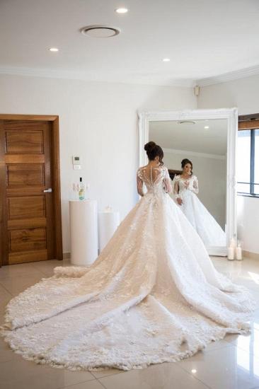 Gorgeous Long Sleeve Soft Floral Lace Bridal Dress V Neck Wedding Dress_2