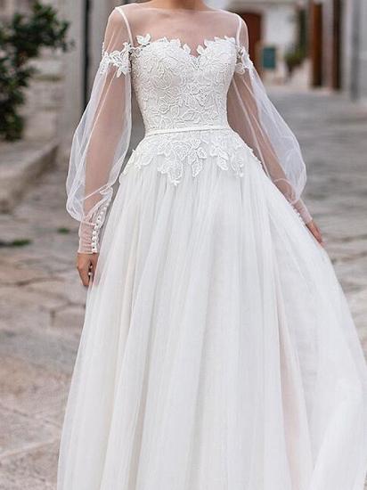 Country Plus Size A-Line Wedding Dress Jewel Lace Tulle Long Sleeve Bridal Gowns_3