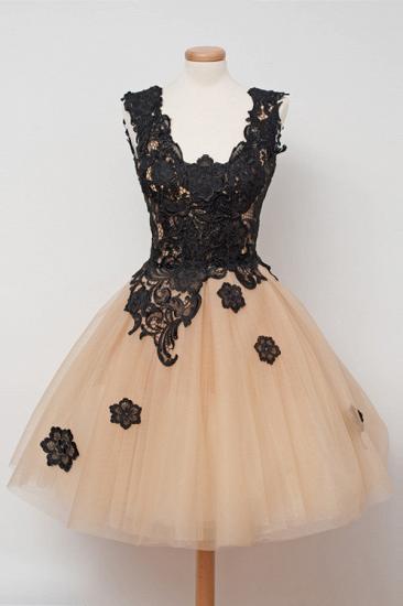 Elegant A-Line Tulle Short Homecoming Dress Sleeveless Lace Applique Mini Dresses_2