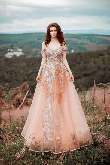 Dreamful Off Shoulder Lace Appliques A-line Princess Wedding Dress_1