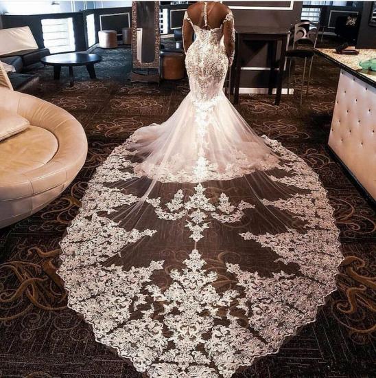 Luxury Long Sleeves Beading Appliques Rhinestones Mermaid Wedding Dress with Sweep Train_2