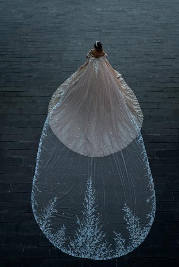 Luxuriöses, schulterfreies Aline-Hochzeitskleid mit glänzenden Spitzenapplikationen_4