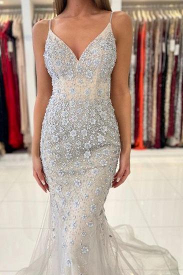 Elegant Evening Dress Long V-Neck Lace Ball Gown_4