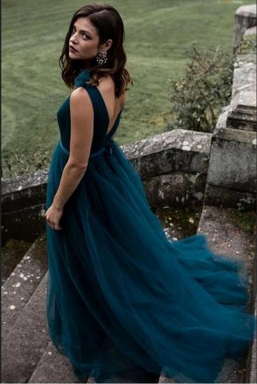 Elegant V-neck Sleveless Aline Tulle Evening Maxi Dress_2