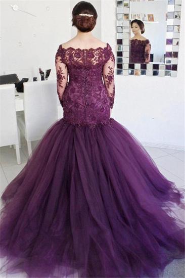 See Through Lace Fluffy Tulle Sexy Evening Gown | Long Sleeve Formal Evening Dresses_3