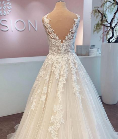 Elegant V-Neck Lace Wedding Dress Appliques_3