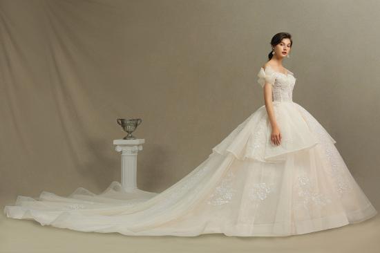 Elegant Off-the-Shoulder Tulle Lace Ball Gown Floor Length Graden Bridal Gown_5