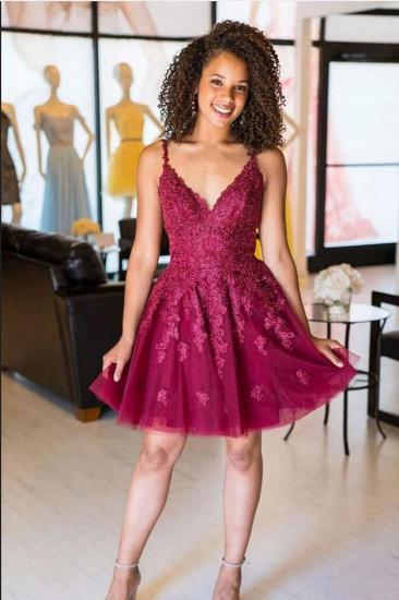 Sleveless V-Neck Tulle Lace Appliques Short Homecoming Dress_2