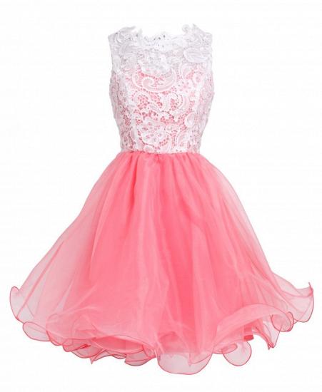 Elegant A-Line Short Lace Organza Summer Homecoming Dress_3