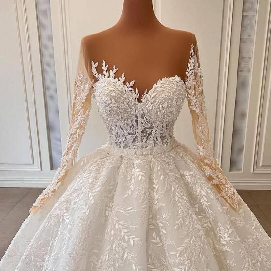 Luxurious Long Sleeve Lace Ball Gown Wedding Dresses_4