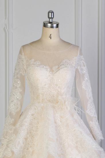 TsClothzone Exquisite Lace Appliques Wedding Dress Tulle Long Sleeves Sequined Bridal Gown On Sale_5