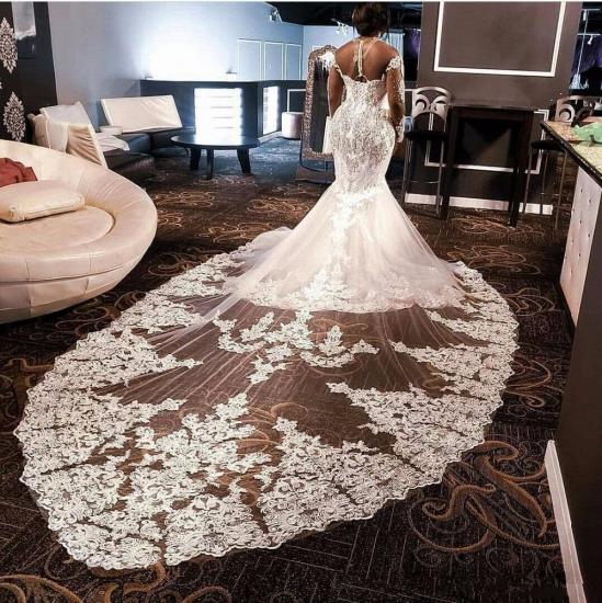 Luxury Long Sleeves Beading Appliques Rhinestones Mermaid Wedding Dress with Sweep Train_3