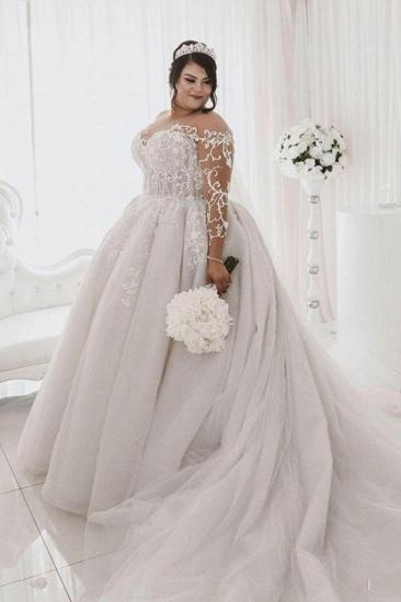 Sheer Tulle Appliques Ball Gown Wedding Dresses | Plus Size Long Sleeve Bridal Gowns_1