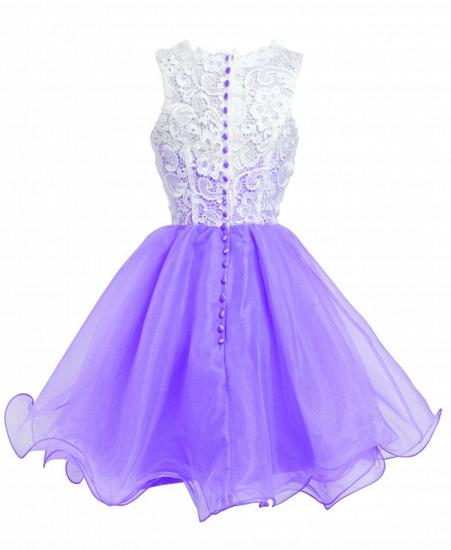 Elegant A-Line Short Lace Organza Summer Homecoming Dress_2