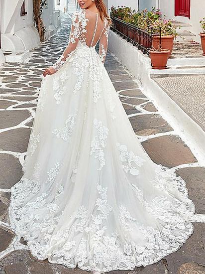 Affordable A-Line Wedding Dress V-neck Tulle Long Sleeve Bridal Gowns with Sweep Train_2