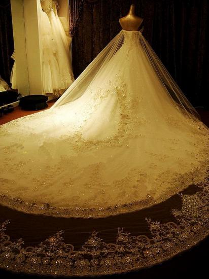 Exklusive Brautmode  Mit Spitze Und Tüll | Hochzeitskleid Mit Schleppe Vintage Hochzeitskleid Kaufen_4