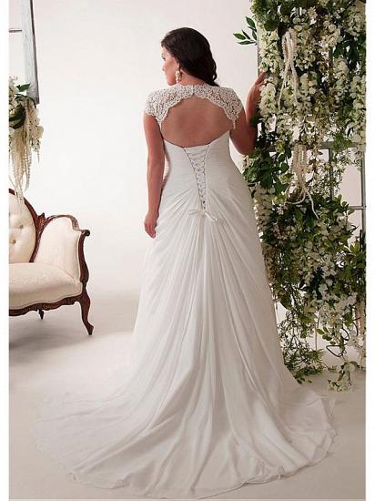 Simple Plus Size Mermaid Wedding Dress V-neck Chiffon Lace Sleeveless Bridal Gowns with Court Train_2