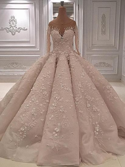 Luxury Long Sleeve Sheer Neck Lace Applique Ball Gown Wedding Dress_1