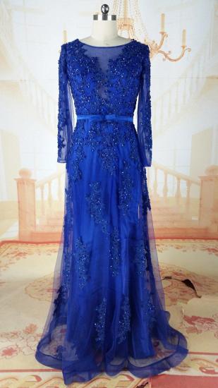 A-Line Long Sleeve Blue Mother of the Bridal Dresses Latest Beading Tulle Mother Dress_2