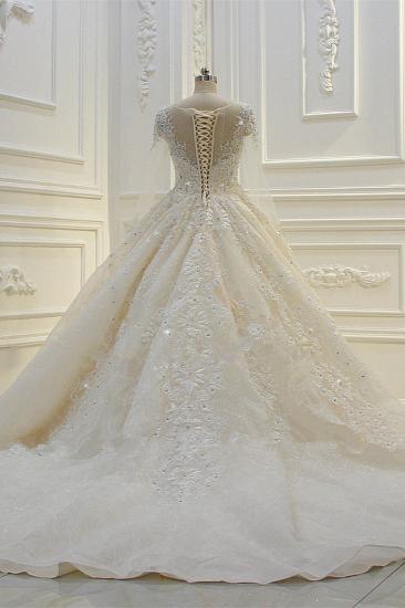 Luxury Ball Gown Long Sleeves Lace Applqiues Beadings Wedding Dress_6