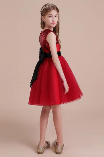 Fabulous Tulle A-line Flower Girl Dress |Graceful Sequins  Little Girls Dress for Wedding_7