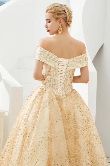 Herman | Luxury Off-the-shoulder Ball Gown for Prom/Evening with Sparkly Floral Appliques_5