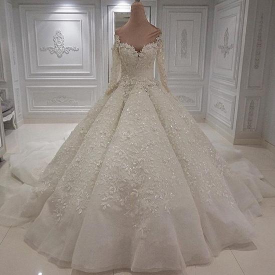 Charming Long Sleeve Lace Appliques Bridal Gowns | Ball Gown with Zipper Button Back Wedding Dress_2
