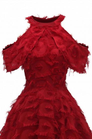 Elegant High neck Artifical Feather A-line Vintage Cocktail Dresses | Retro A-line Burgundy Homecoming Dress_13