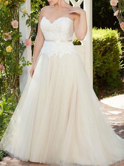 A-Line Wedding Dress Sweetheart Tulle Sleeveless Country Bridal Gowns in Color Court Train_4