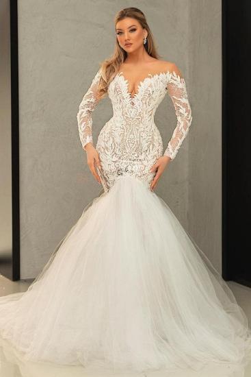 Gorgeous Long Sleeves Slim Mermaid Bridal Gown Tulle Lace Appliques_1