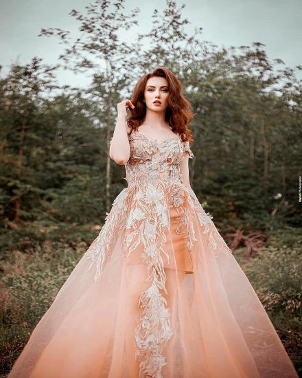 Dreamful Off Shoulder Lace Appliques A-line Princess Wedding Dress_4