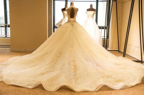 Luxury Illusion Neck Lace-up Tulle Ball Gown Wedding Dress | Modest Ivory Sparkle Bridal Gowns Online_3