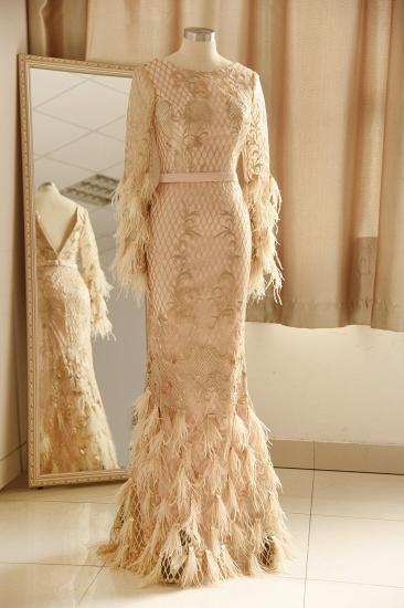 Champange Unique design Long sleeves V-back Prom Dress_1
