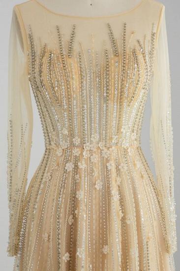 Erstaunliches Juwel-Pailletten-Abendkleid mit langen Ärmeln und Tüll-Aline-Abendkleid_5
