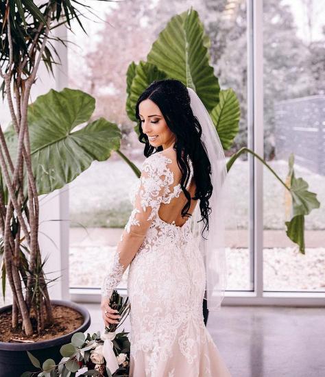 White/Ivory Tulle Lace Bridal Gown Long Sleeves Wedding Dress_4