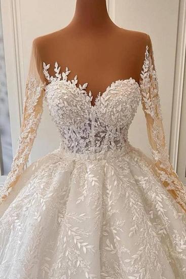Luxurious Long Sleeve Lace Ball Gown Wedding Dresses_3